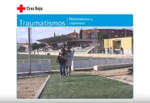 Los primeros auxilios. Traumatismos